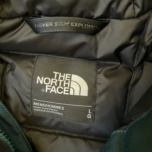 The North Face Men’s Biggie McMurdo Parka In Green - Picture 9 of 10